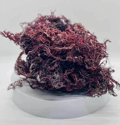 Raw Purple Sea Moss