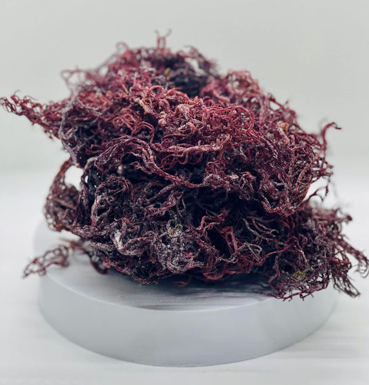 Raw Purple Sea Moss