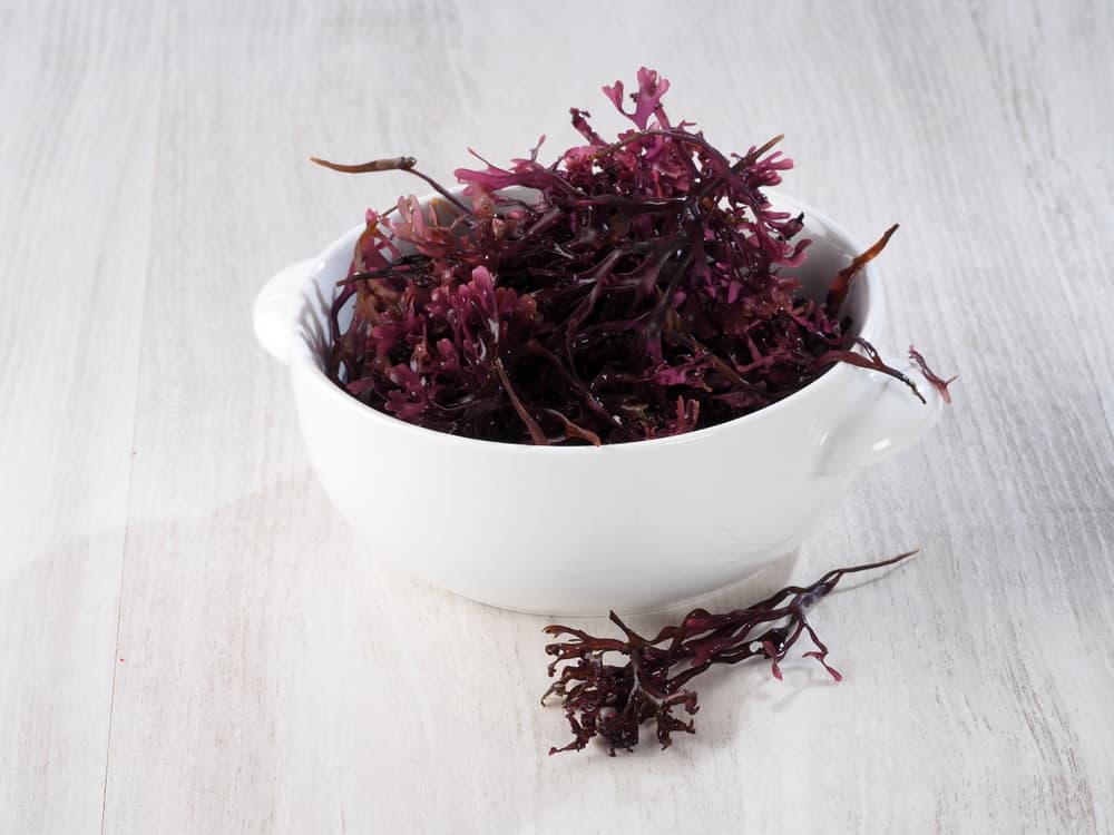 Raw Purple Sea Moss